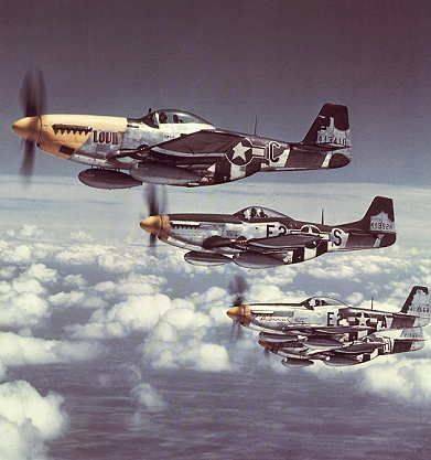 mustang 51.jpg